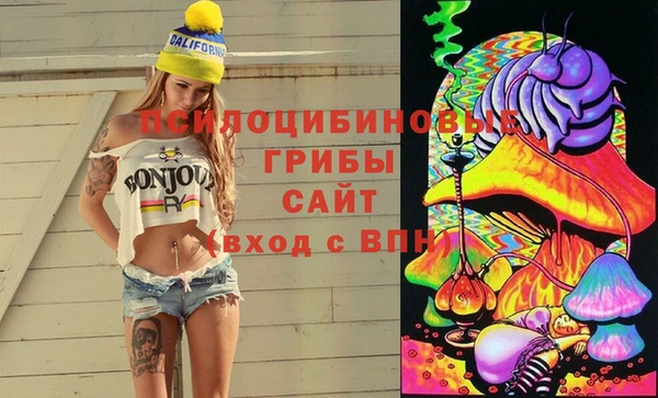 винт Алзамай