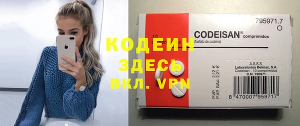 молекула духа Алексеевка