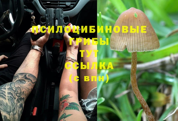 винт Алзамай