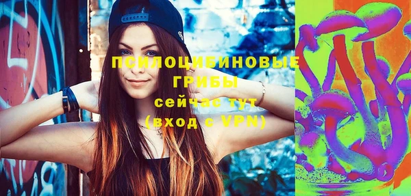 молекула духа Алексеевка