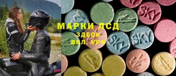 прущие грибы Абинск