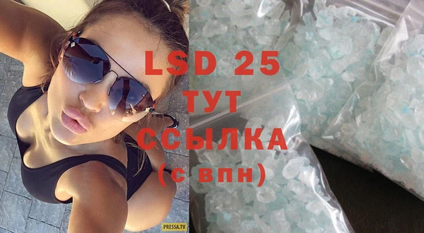 винт Алзамай