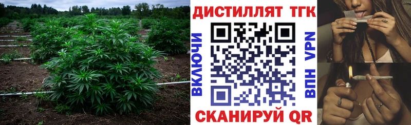 Дистиллят ТГК жижа  продажа наркотиков  Новокубанск 