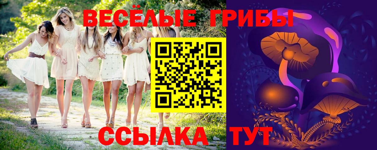 Галлюциногенные грибы Psilocybe  Вход с VPN  Новокубанск 