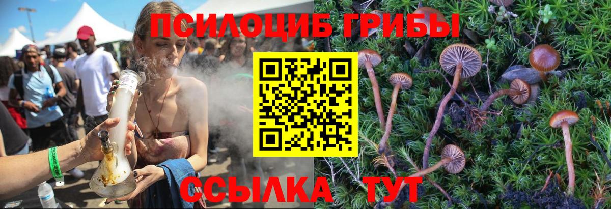 Псилоцибиновые грибы прущие грибы Новокубанск