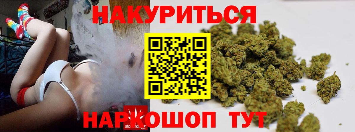 Конопля гибрид Новокубанск